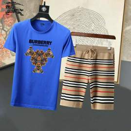 Picture of Burberry Shirt Pant Suits _SKUBurberryS-3XL25tn1820698